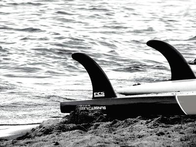 SURFBOARD